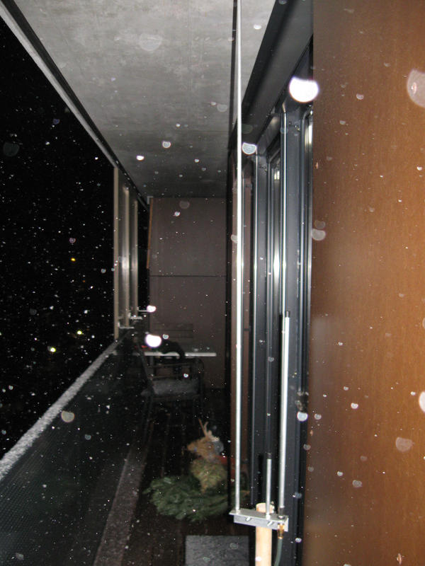 IMG_2471.jpg